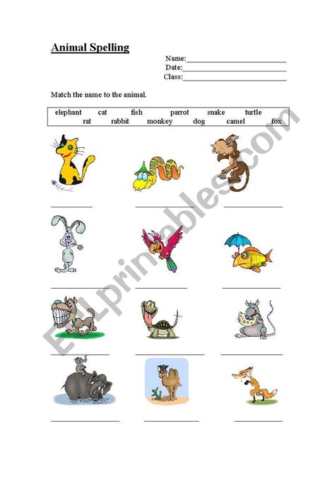 English Worksheets Animal Spelling
