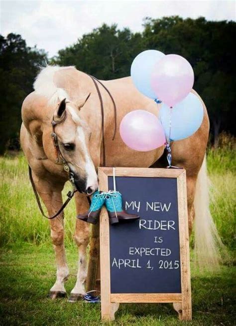 Best Country Gender Reveals This Is How Horse People Do A Gender