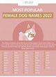 100 Best Girl Dog Names for 2022 | Two Tails Pet Company