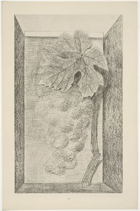 A Drawing Of A Window With Leaves On It