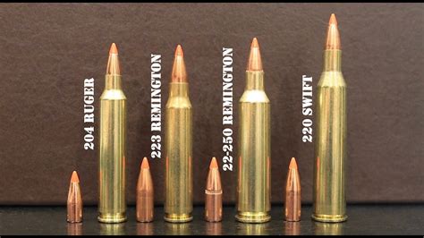 204 Vs 22 250 Ballistics Chart