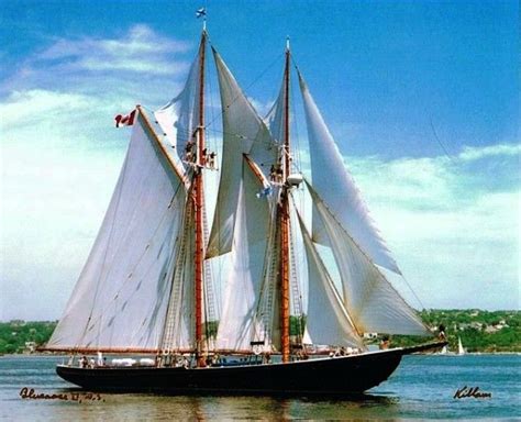 The Bluenose Ii Sailing Bluenose Schooner Sailing Yacht