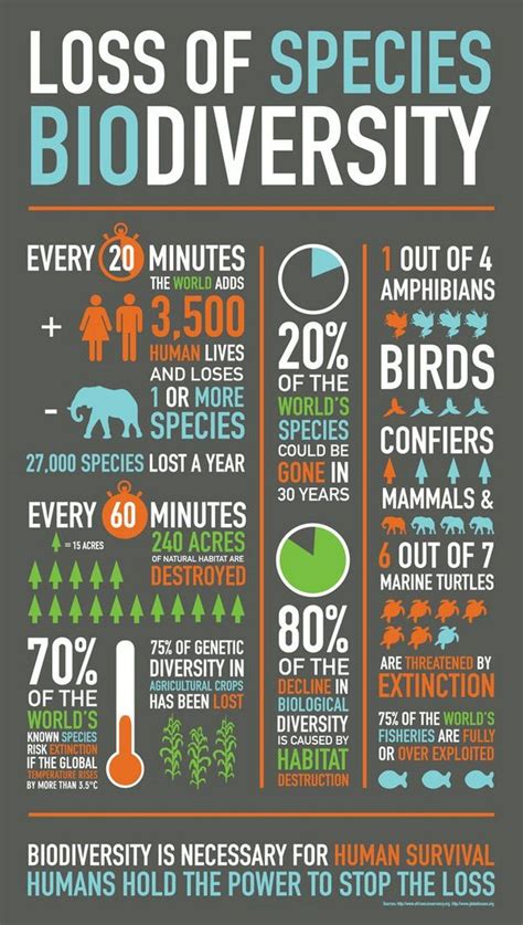 How To Make Your Infographic Design Looks More Compelling Environmental Science Biodiversity