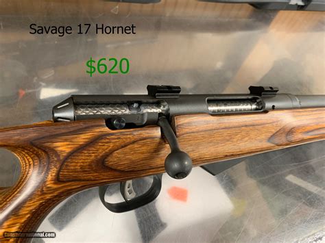 Savage 17 Hornet