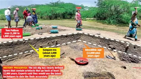 12000 Year Old Artefacts Recovered In Chennai Show Special Stone Age