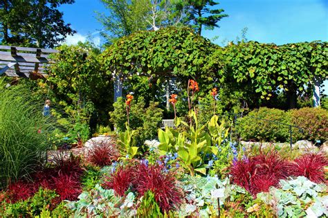 Coastal Maine Botanical Garden Gardenpicdesign