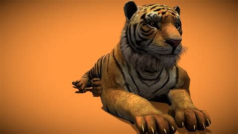 tiger 3d models sketchfab