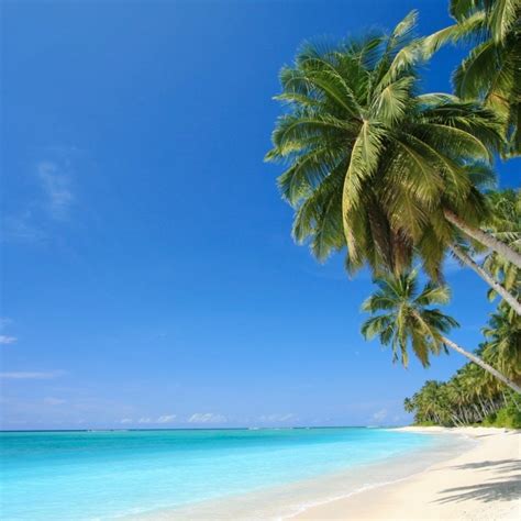 10 Top Caribbean Beaches Wallpaper Desktop Full Hd 1080p For Pc Desktop