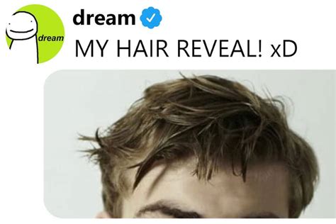 Dream S Hair Goes Viral