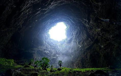 Unique Ecosystem Preserved In Central Chinas Karst Cave Shanghai Daily