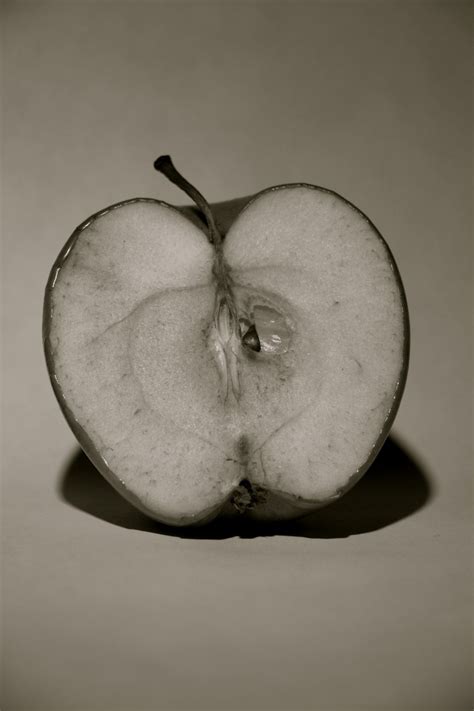 The Apple Smithsonian Photo Contest Smithsonian Magazine