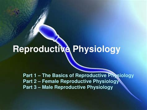 Ppt Reproductive Physiology Powerpoint Presentation Free Download