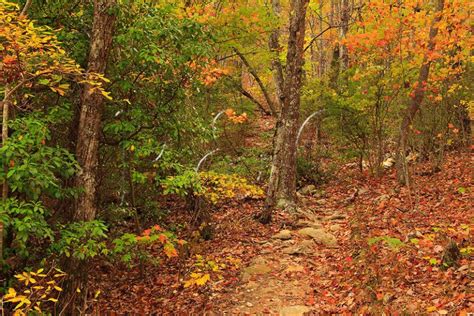 10 Of The Best Hiking Trails In Alabama Flavorverse