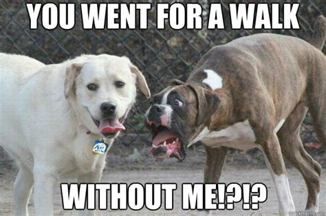You Went For A Walk Without Me Dog Walk Meme Quickmeme