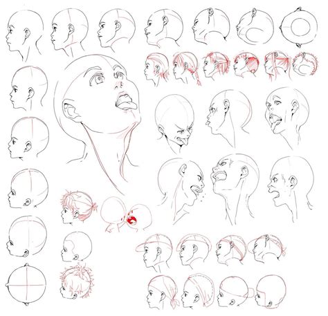 Head Angles Drawing Reference Pin By Shaetzesmom On Art Dekorisori