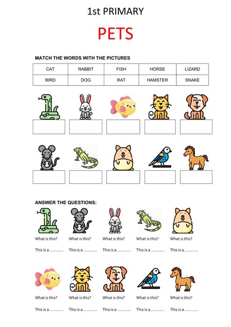 Pets Interactive Worksheet