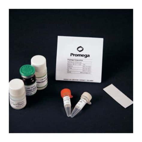 Promega ADP Glo Kinase Assay Assays Protein Analysis Reagents Quantity Fisher Scientific