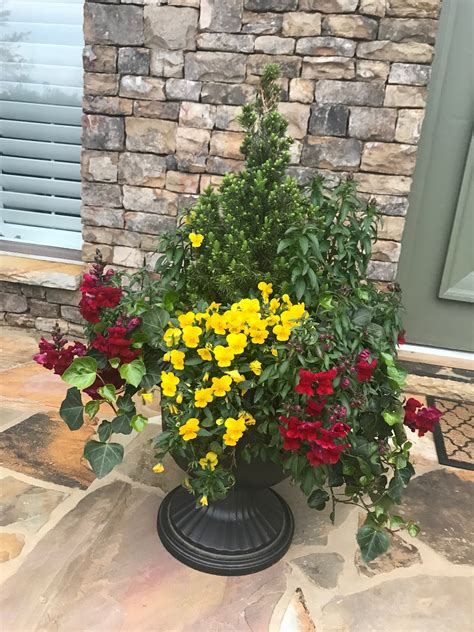 Another cool idea of front door flower pot is the tiered variation in the shade of bright cerulean blue. Front Door Flower Pots for Curb Appeal