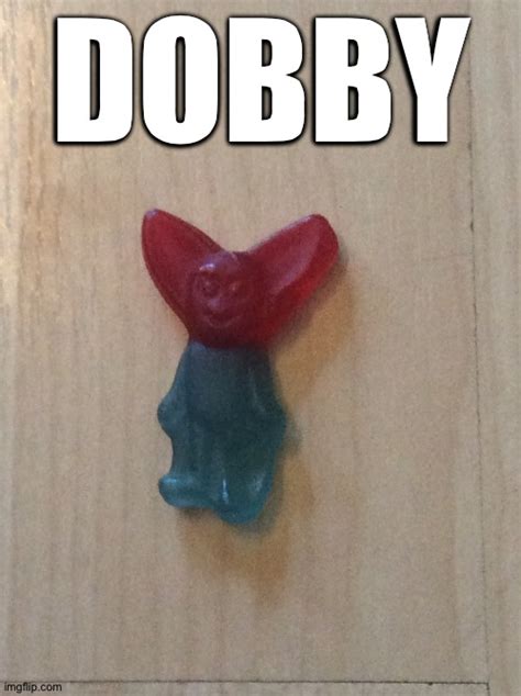 Lol This A Gummy Bear Imgflip