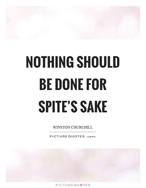 See the gallery for tag and special word spite. Nothing should be done for spite's sake | Picture Quotes