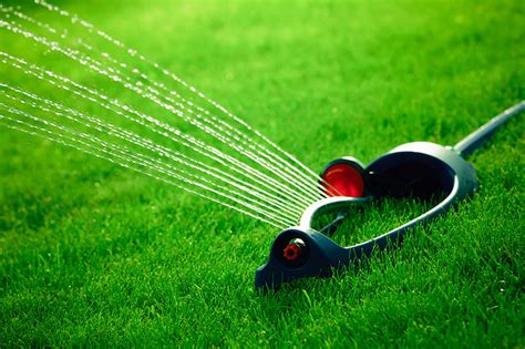 So, 20 minutes, three times per week will give a lawn about an inch of water. 5 Of The Best Lawn Sprinkler For Healthy Grass
