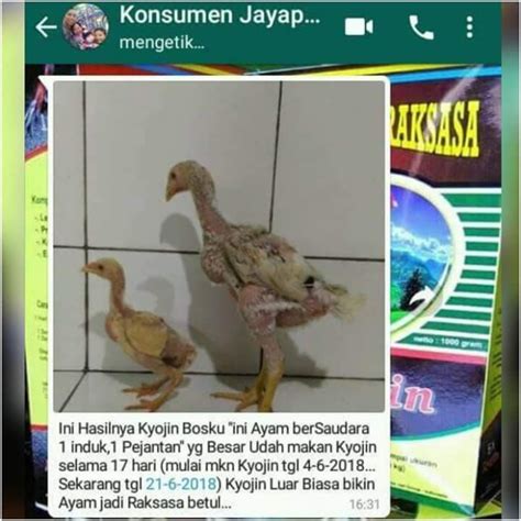 Order di agen, toko pakan, shopee order kyojin via shopee 1. Manfaat Pakan Ayam Kyojin - Tentang Kolam Kandang Ternak