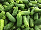 Cucumber (Cucumis sativus) is a widely cultivated plant in the gourd ...