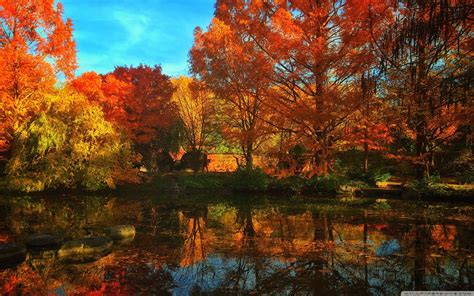 Erstens finden sie das perfekte hintergrundbild für ihren pc. Herbst Ultra HD Desktop Background Wallpaper for 4K UHD TV ...