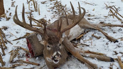 Snowmobiler Lays Claim To 180 Inch Illinois Buck