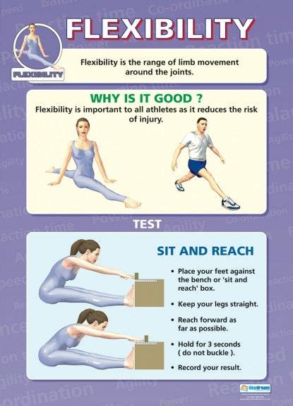 Flexibility Physical Education School Posters Health And Physical
