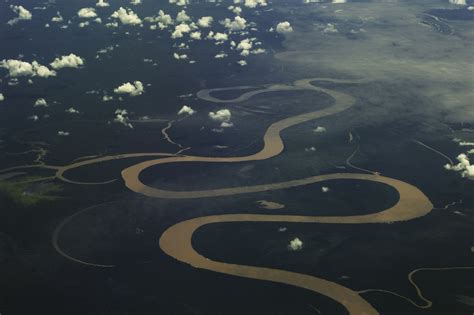 Top 17 The Amazon River In 2023 Kiến Thức Cho Người Lao Động Việt Nam