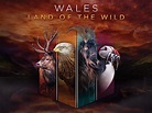 Wales: Land of the Wild (2019)
