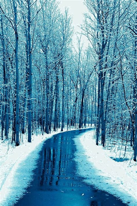 Free Download Forest Road Wallpaper Snow Winter Iphone