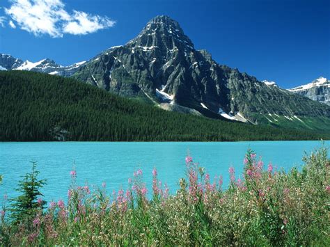 touristsparadise: canadian rockies