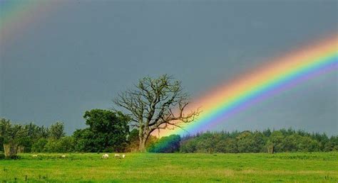 Facts About Rainbows The Fact Site