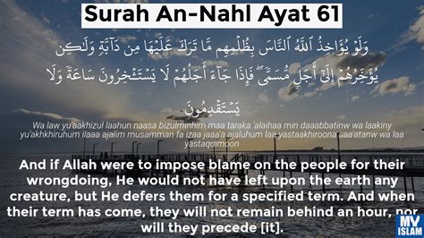 Surah An Nahl Ayat 61 16 61 Quran With Tafsir My Islam