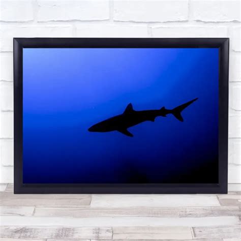 Silhouette Underwater Shark Wall Art Print 1274 Picclick