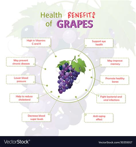 Health Benefits Grapes Grapes Nutrients Royalty Free Vector