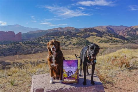 You'll notice the following letters accompanying each recipe below. Untamed by 4health® Dog Food Product Review - Follow Your ...