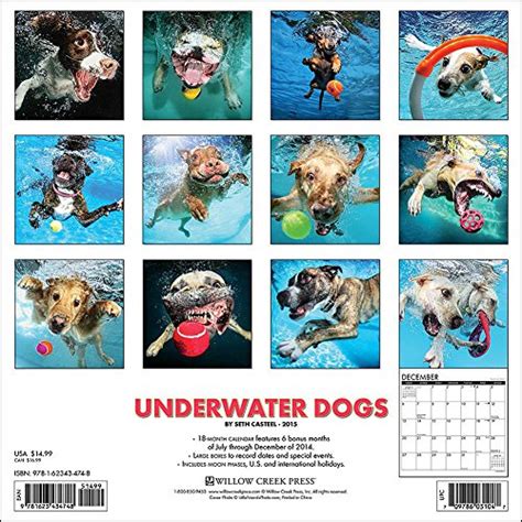 2015 Underwater Dogs Wall Calendar Willow Creek Press Buy Online In