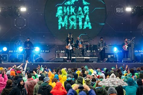 Our invitro friends are ready to help you in this situation! Фестиваль «Дикая Мята» 2021. Сайт, расписание, купить ...
