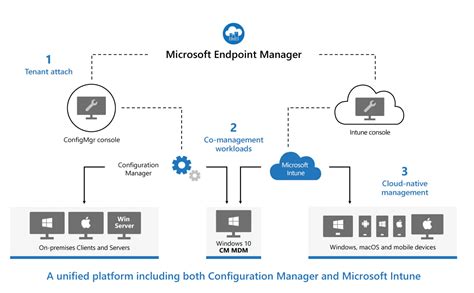 How To Set Up Windows Autopilot In Microsoft Intune Y