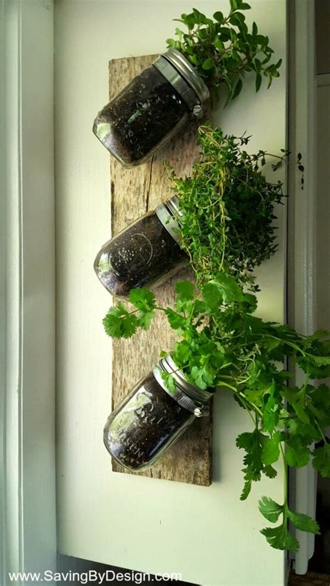How To Make An Indoor Wall Herb Garden To Enjoy Fresh Herbs Year Round