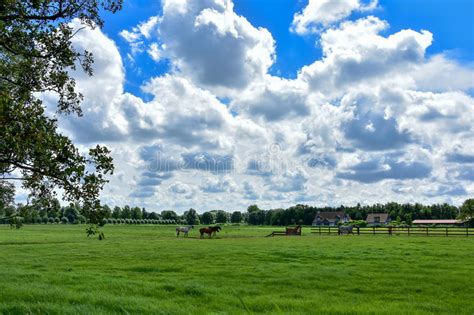 Blue Skies And White Clouds Over A Horse Farm In The Countryside Of The