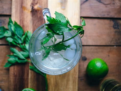Gin And Soda With Lovage Gin Med Løpstikke North Wild Kitchen