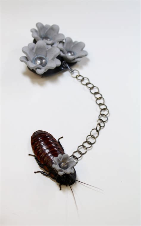 Roach Brooch LIVE Live Hissing Cockroach 3d Printed Metallic Plastic