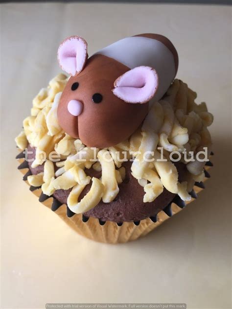 Hamster Birthday Cupcake In 2020 Homemade Cakes Cupcake Cakes