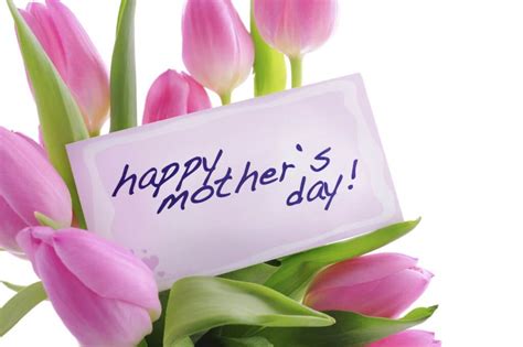 Happy Mothers Day Wishes Pink Tulips Image Photo Hd Wallpaper