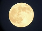 5 things about the closest supermoon | Astronomy Essentials | EarthSky