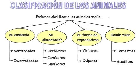 Aprende Y Diviertete ClasificaciÓn De Los Animales SegÚn